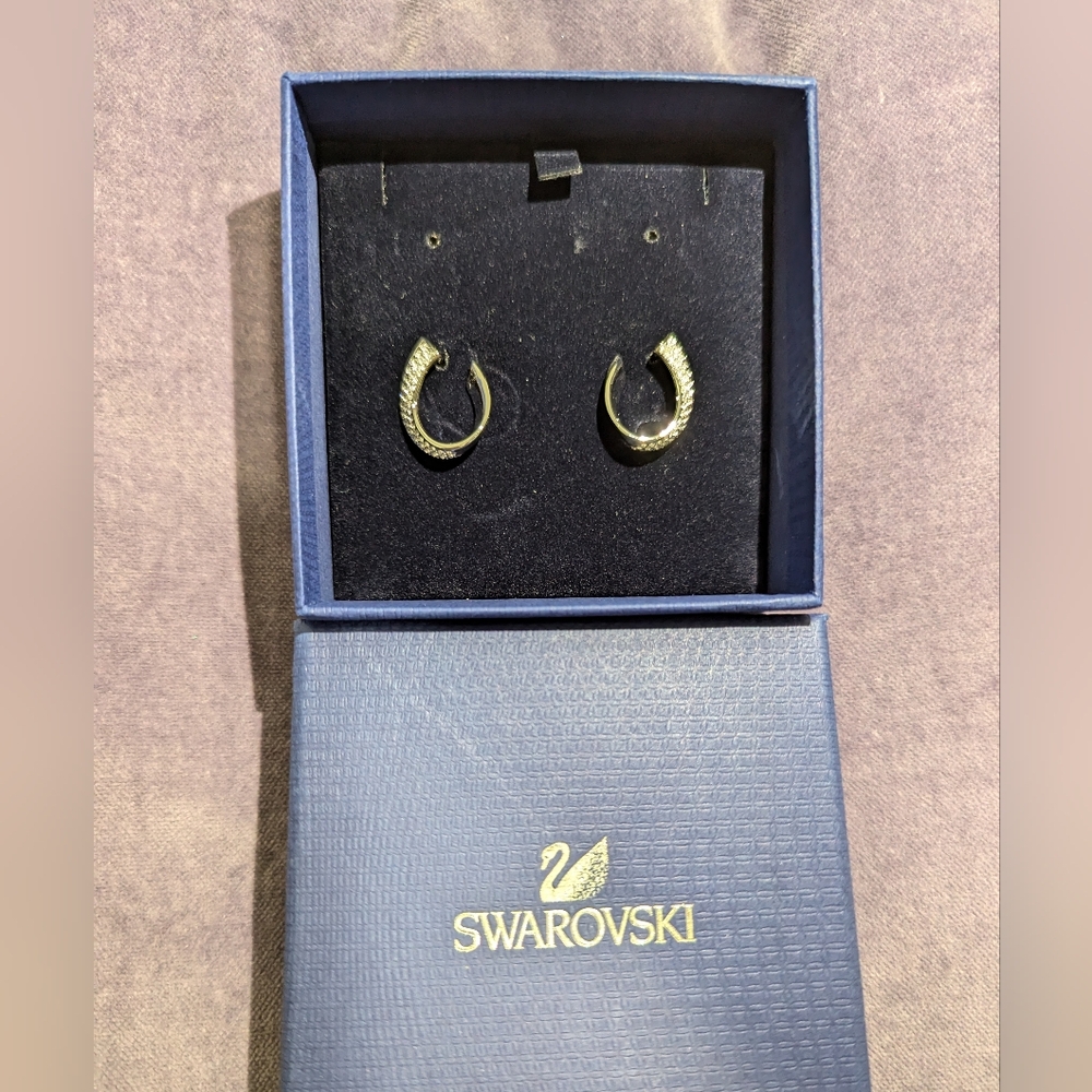 Swarovski Exist Earrings